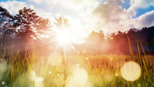 Времето в неделя: Очаква ни слънчев ден, но идва захлаждане
