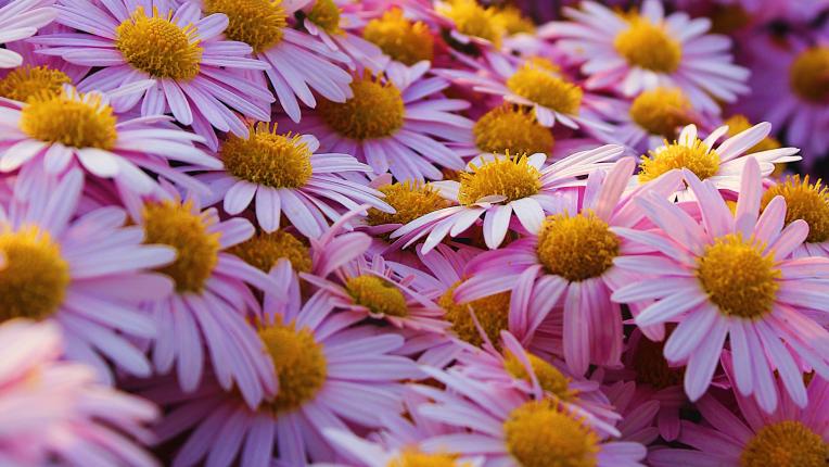 Дневен хороскоп за 14 април, вторник