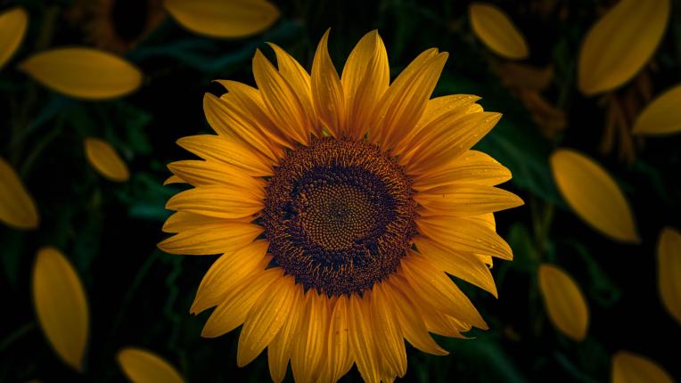 Дневен хороскоп за 14 април, вторник