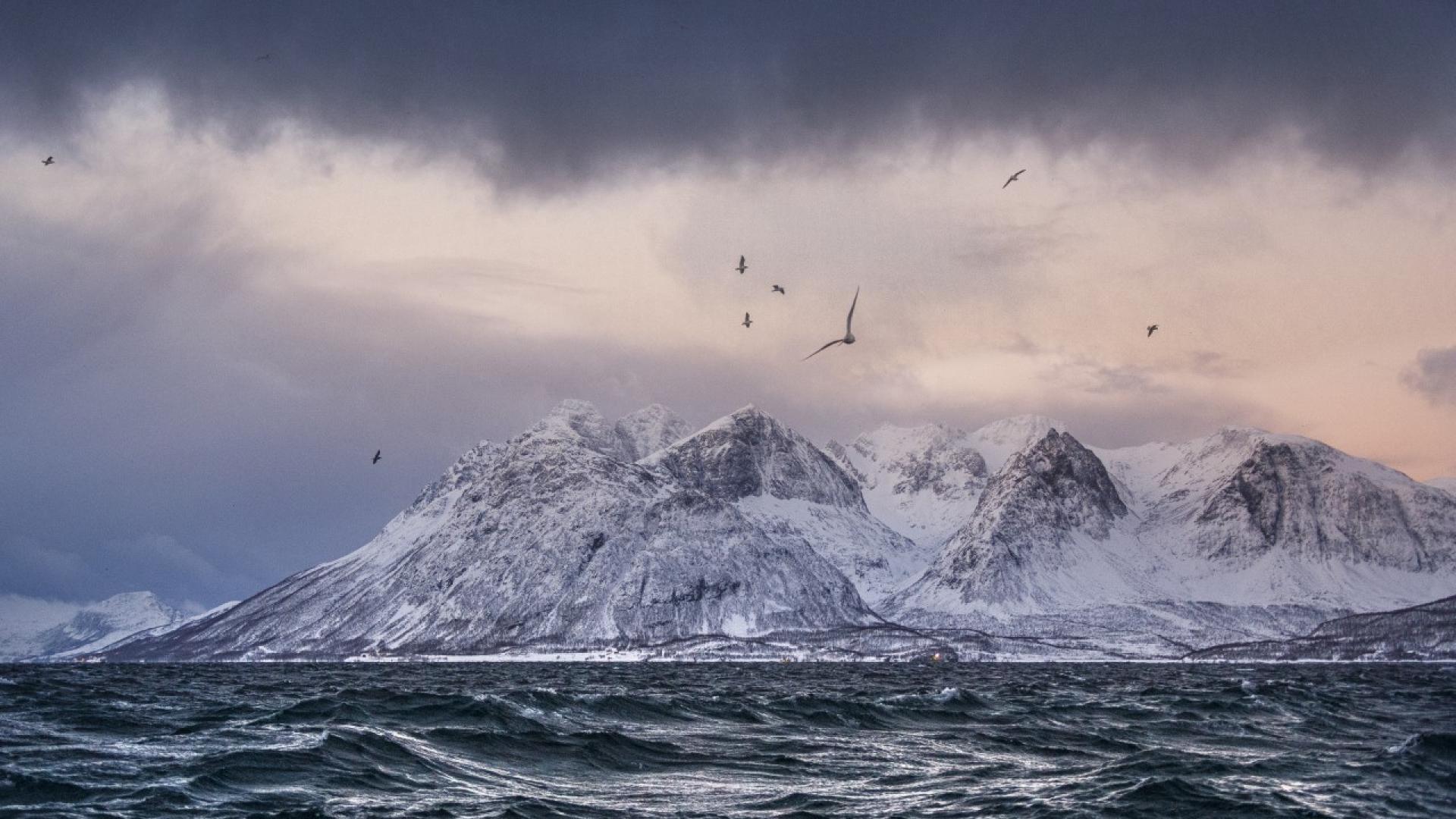 Какво се случва в Свалбард изглежда няма да остане само