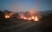 Горещините разпалиха десетки пожари в Пловдивско