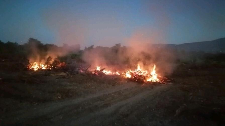 Горещините разпалиха десетки пожари в Пловдивско