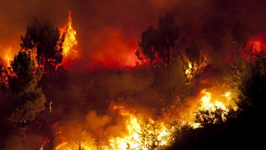 Стотици пожарникари се борят с горски пожар във Франция