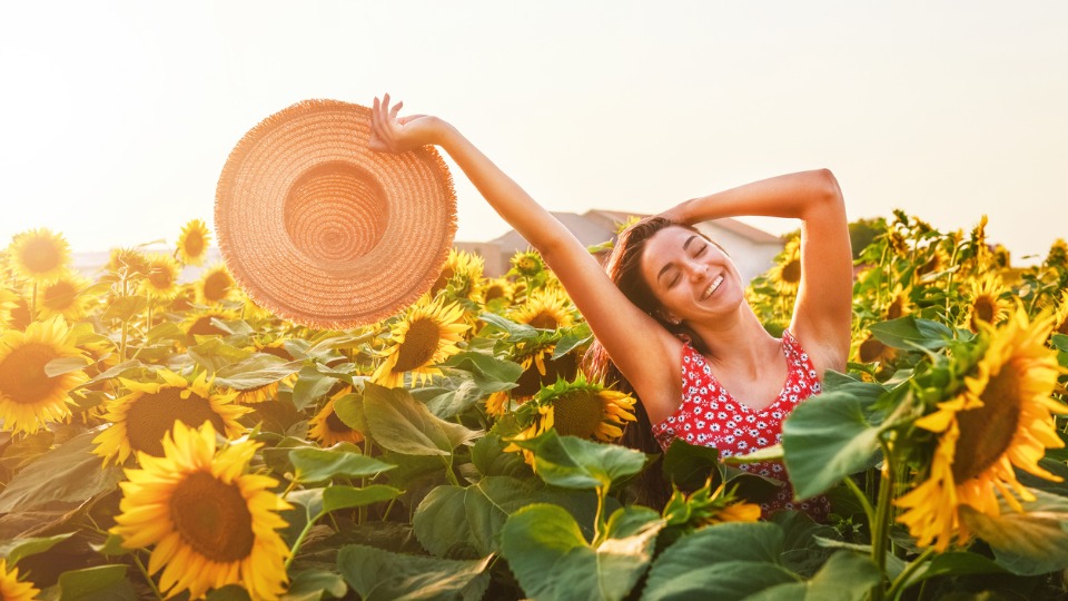 жена лято природа слънчоглед слънчогледи