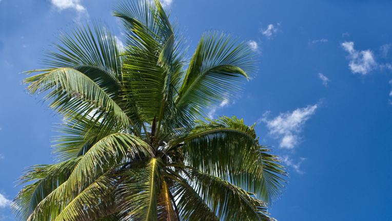  Седмичен хороскоп за 8-14 юли 