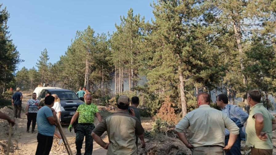 Голям пожар бушува в Пазарджишко