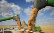 България и Украйна се договориха за зърното и слънчогледа