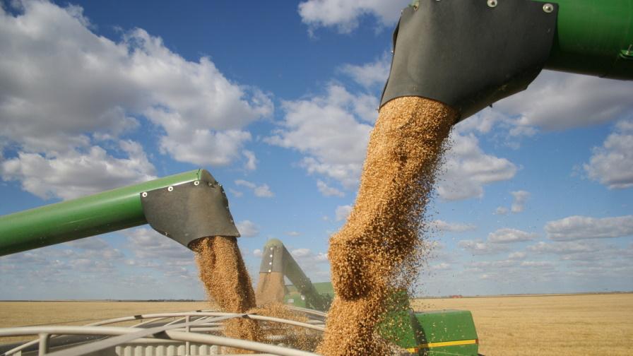 Зърнопроизводители от Великотърновско излязоха на протест