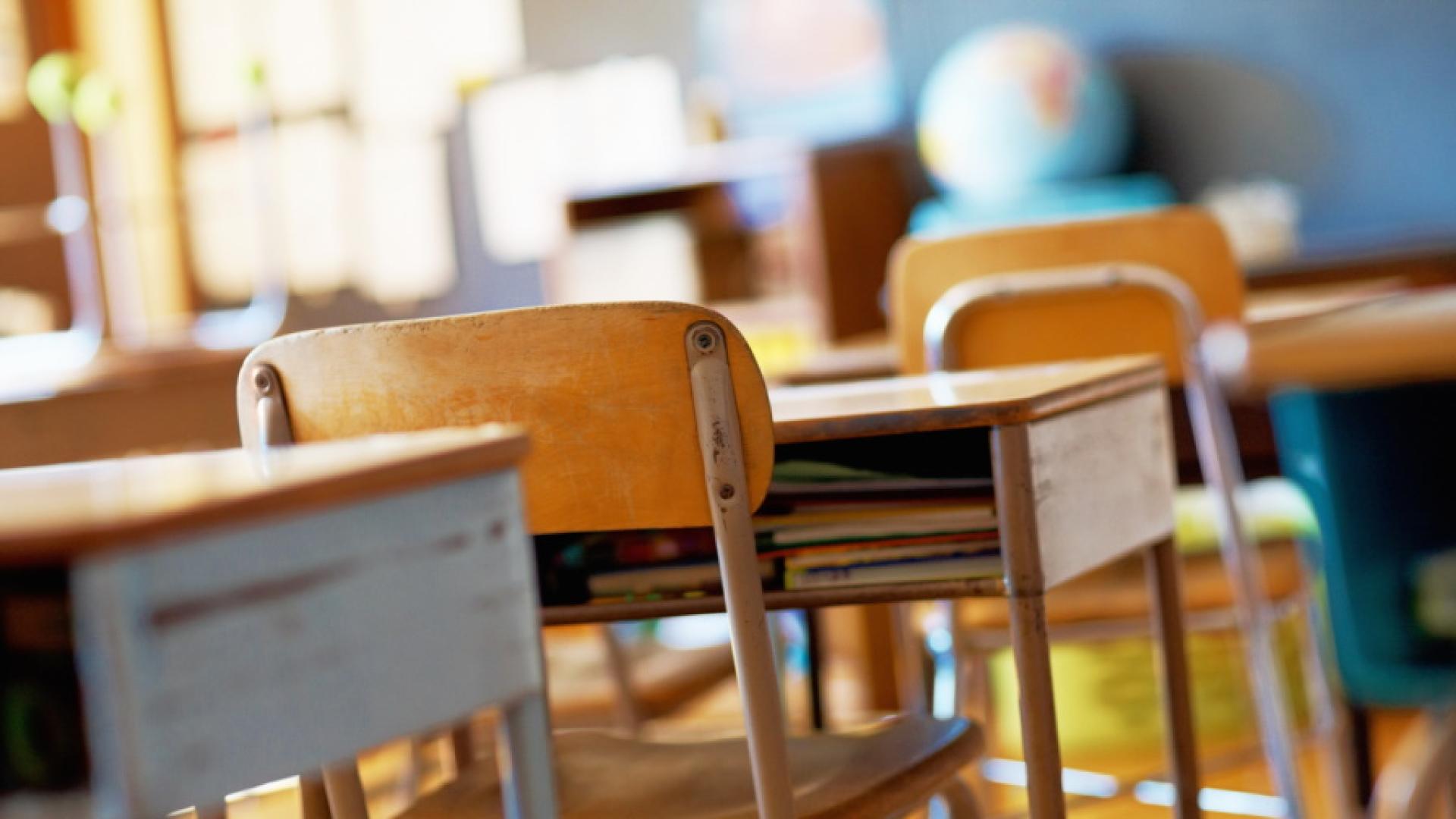 Учениците от няколко общини в Шуменско излизат в дървена ваканция