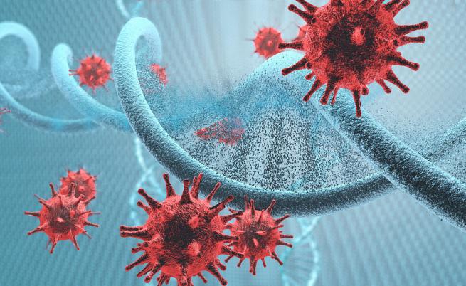 Учените изследват хибриден вирус, преодоляващ имунитета