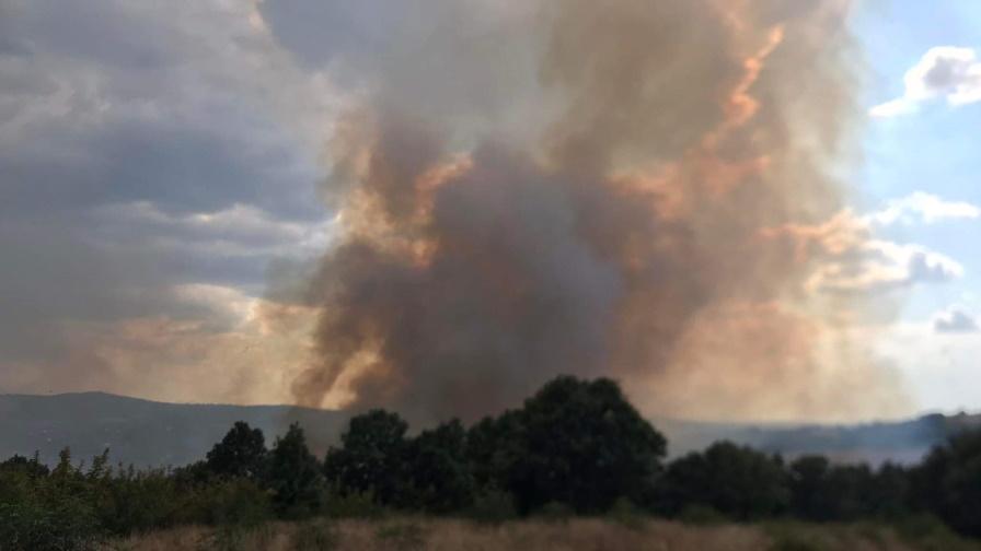 Пожарът между селата Левски и Елшица е локализиран