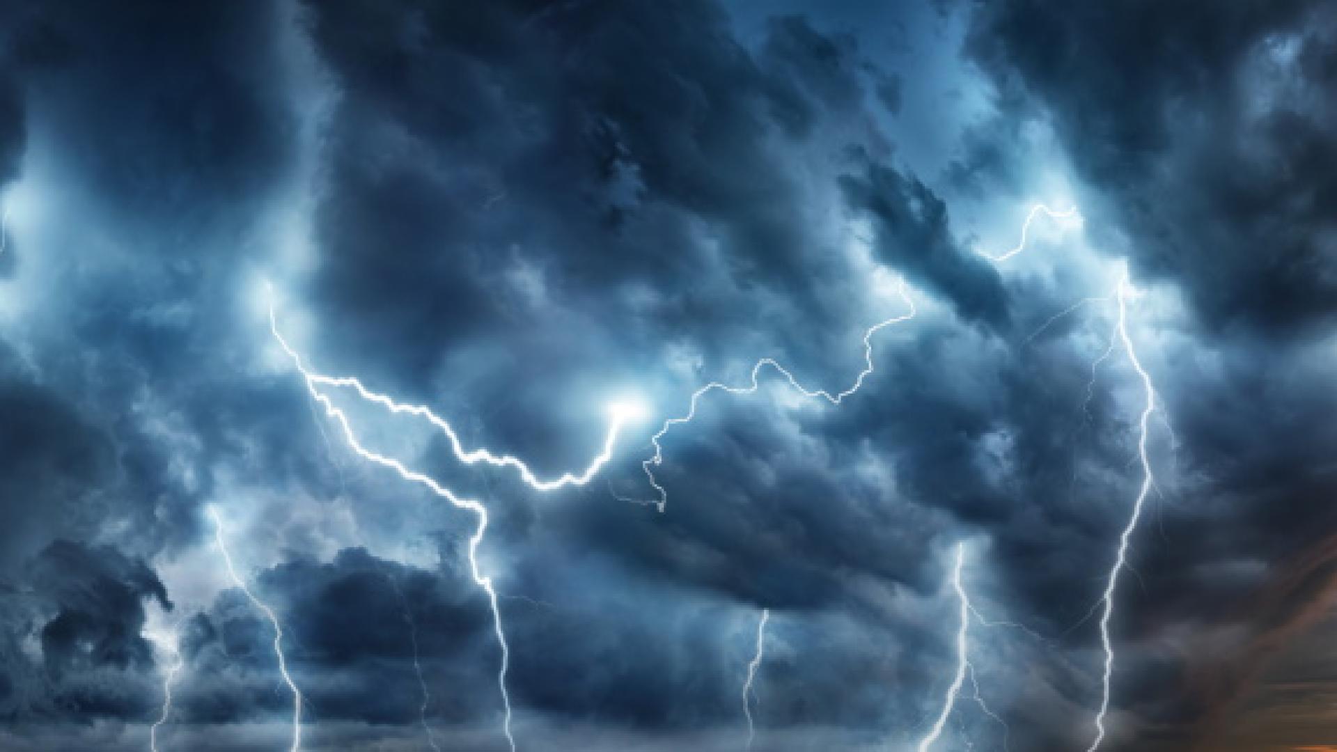 Над 50 паднали дървета накъсани жици пропаднали улични участъци остави