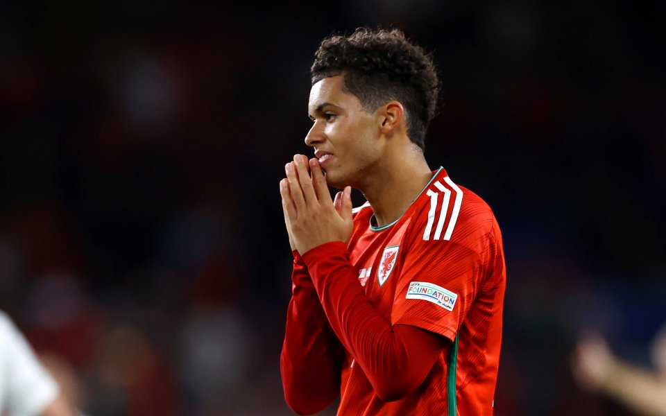 Уелс Полша Лигата на нациите