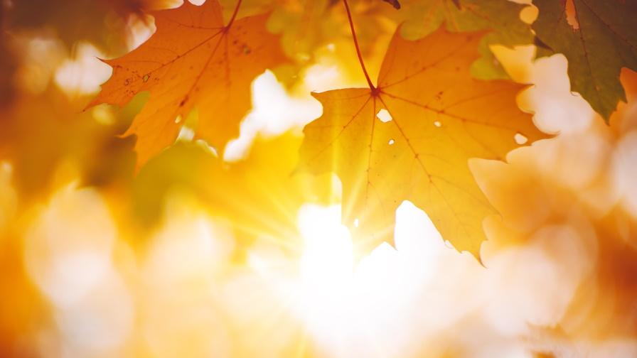 Златна есен: Слънчево и топло време в края на седмицата