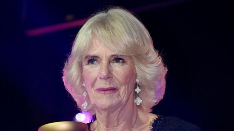 Връзката на Камила и крал Чарлз III е една от