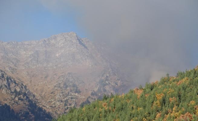 Над 10 хил. декара гори са пострадали при пожара в Родопите