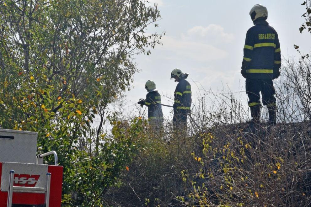 Близо 200 души се борят с пожара на българо-гръцката граница