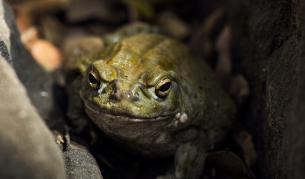 Снимката е илюстративна