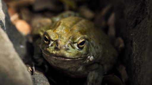 Снимката е илюстративна