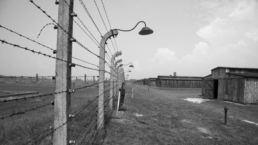 Нещастието да се родиш в Аушвиц: Историята на Анджела Орош