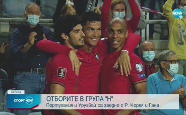 Какво да очакваме от група Н на Мондиала в Катар  