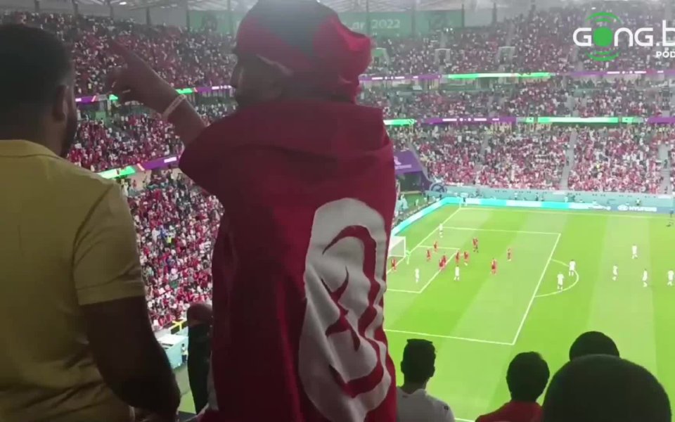 Феновете на Тунис взеха победата на трибуните срещу Дания