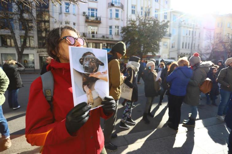 Протест срещу насилника на кучето Мечо