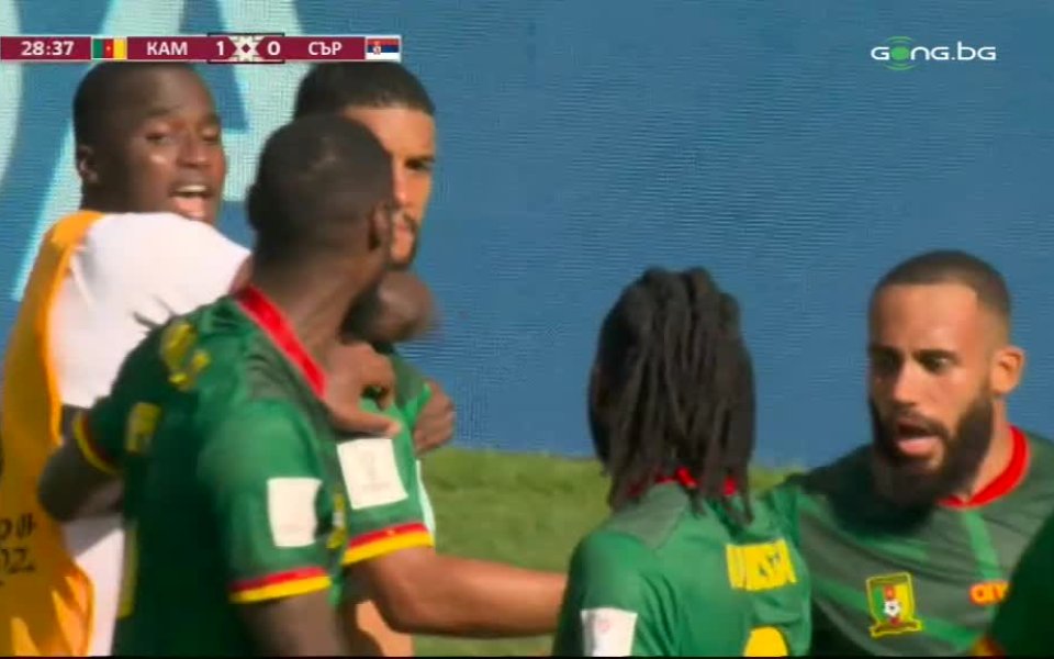 Камерун поведе на Сърбия в 29-ата минута. Жан-Шарл Кастелато открива