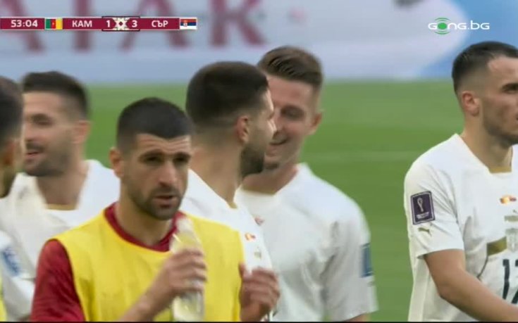 И Александър Митрович се разписа срещу Камерун