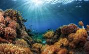 Австралия не е съгласна с промяна в статута на Големия бариерен риф
