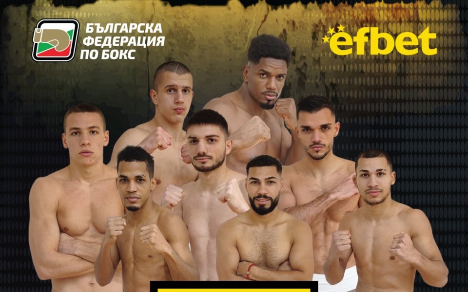 Националите по бокс закриват годината с шеметна галавечер в Свиленград