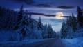 студена луна зима сняг пълнолуние