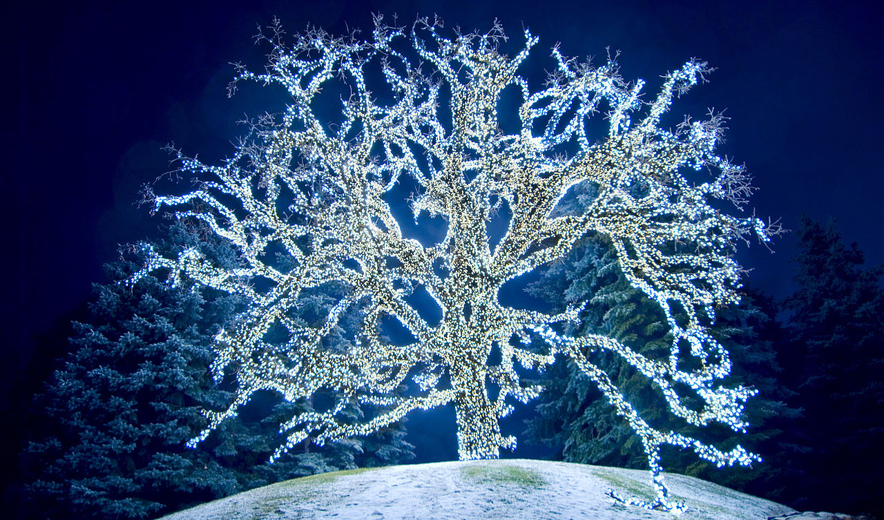 <p><iframe frameborder="0" height="753" scrolling="no" src="https://assets.pinterest.com/ext/embed.html?id=32440059823110496" width="345"></iframe></p>

<h3 dir="auto"><strong>Носете дрехи на точки (Филипини)</strong></h3>

<p dir="auto">Подобно на много други култури, новогодишните традиции във Филипините са свързани с пожелания за късмет и просперитет през следващата година. Според традицията, носенето на дрехи на точки носи благоденствие и богатство, тъй като кръглите форми на точките наподобяват монети</p>