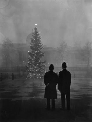 Двама полицаи разглеждат коледната елха, подарък от Норвегия, поставена на площад "Трафалгар" в Лондон, 1 декември 1948 г.