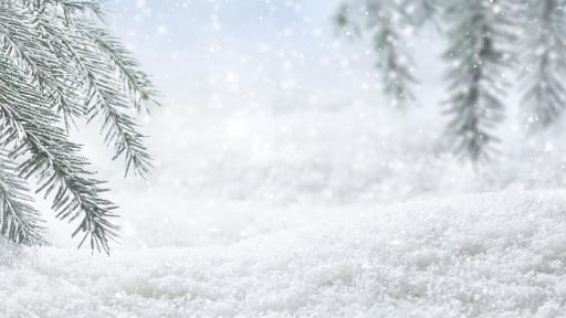 Снимката е илюстративна