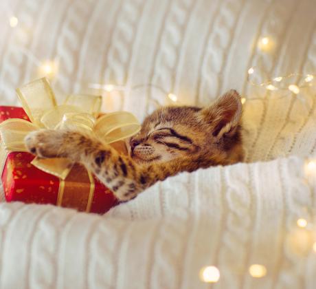 Добро утро момичета Нека започнем деня си с вдъхновяваща мисъл Начина