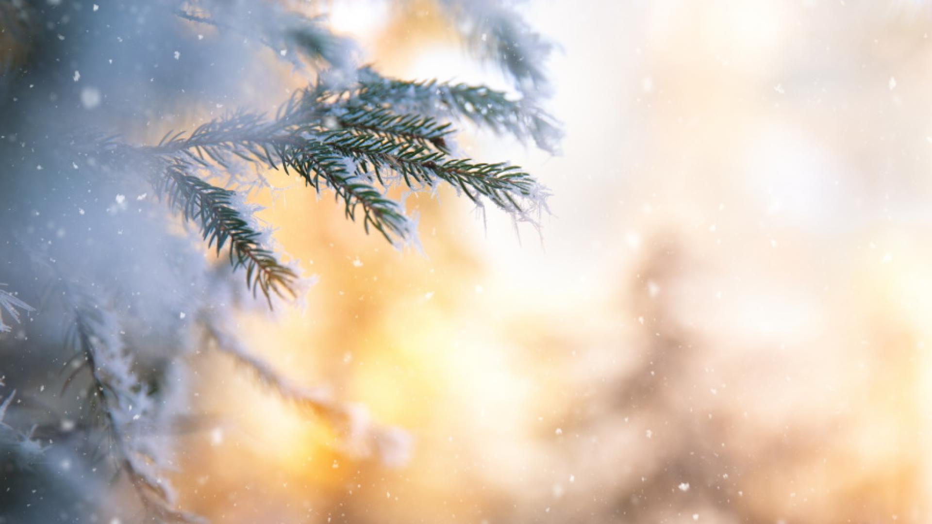 В понеделник в по голямата част от страната ще преобладава слънчево