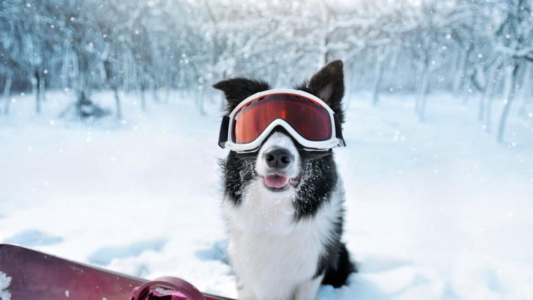  Дневен хороскоп за четвъртък, 19 януари 