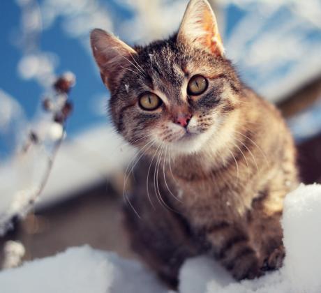 Добро утро Нека започнем деня с вдъхновяващи думи Никога няма да