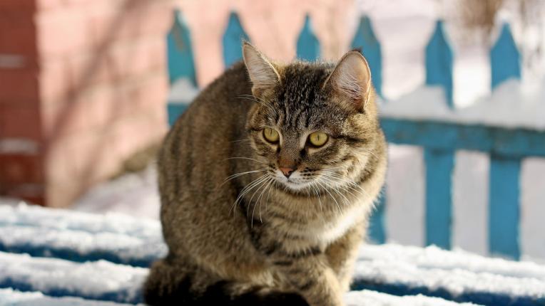  Дневен хороскоп за сряда, 31 януари 