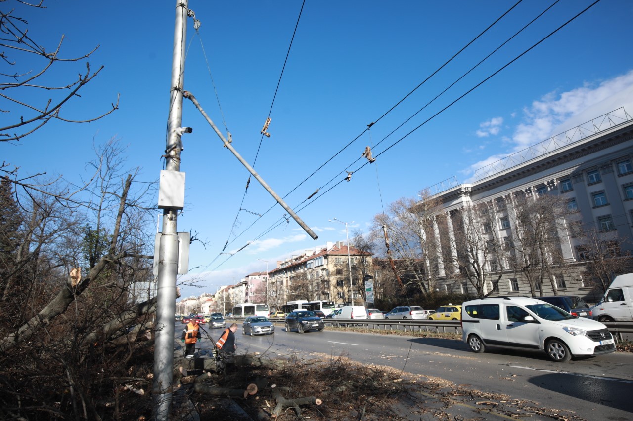 <p>Редица сигнали за счупени клони и паднали дървета заради силен вятър бяха подадени в София</p>