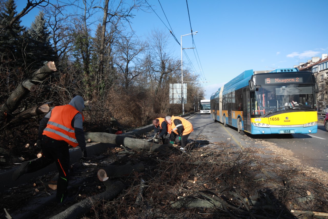 <p>Редица сигнали за счупени клони и паднали дървета заради силен вятър бяха подадени в София</p>