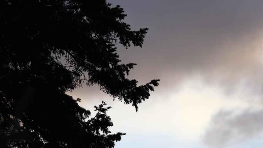 Силният вятър остави без ток няколко села в Монтанско