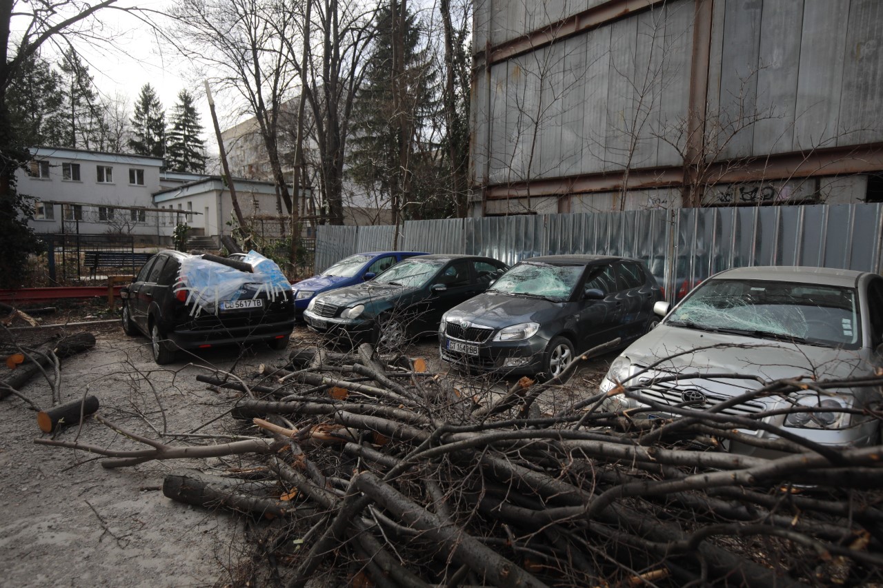 <p>Паднало дърво нанесе щети на паркирани автомобили на ул. Люботрън, в близост до 21 СУ &quot;Христо Ботев&quot; в София.</p>