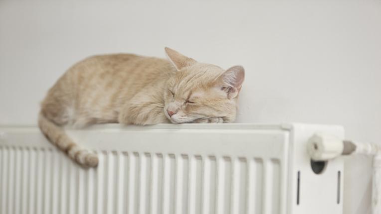  Дневен хороскоп за събота, 21 януари 