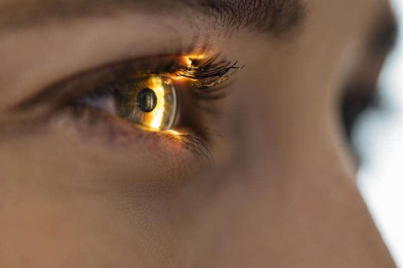 <p align="left"><strong>Полезни за очите</strong><br />
Слънчогледовите семки са един от най-богатите източници на витамин Е. Този витамин е важен антиоксидант, който играе роля в здравето на очите и борбата с възпаленията в тялото. Според проучвания витамин Е може да поддържа доброто зрение, като предпазва от очни заболявания, сред които свързаната с възрастта макулна дегенерация.</p>