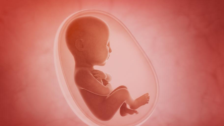Изумително, но вярно: Бебето може да възстанови вътрешни органи на майката