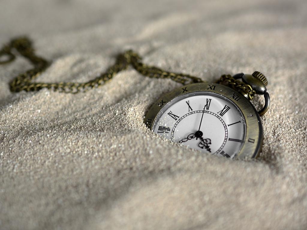 Снимка: pixabay