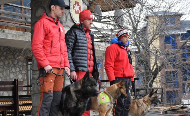  На фотографията от ляво надясно: Спасителите Атанас Уков, Любчо Джолев и Благой Максимов със избавителните кучета Норд, Нико и Хера 