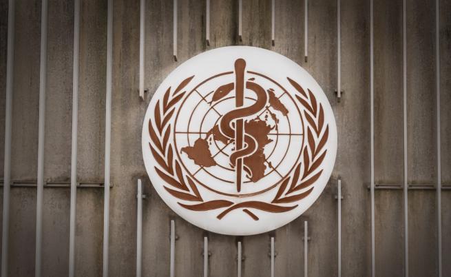 Огнище на марбургска хеморагична треска в Екваториална Гвинея. СЗО свиква спешна среща